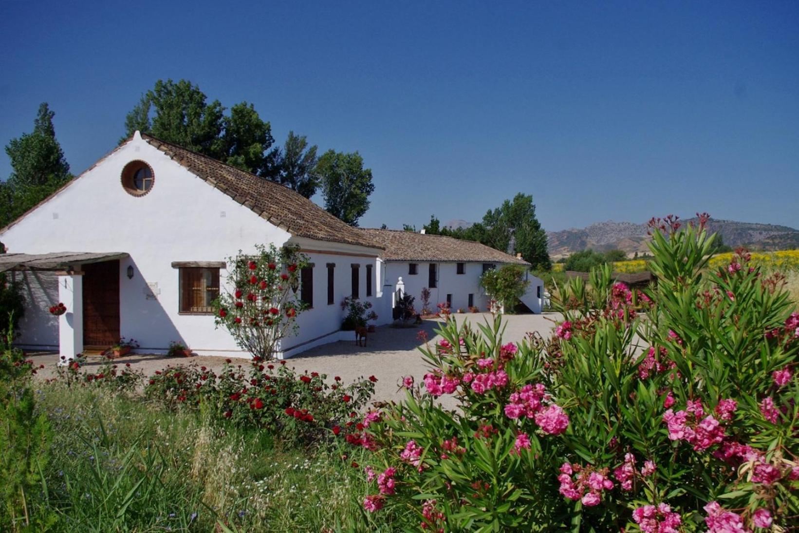 Retama Holiday home
