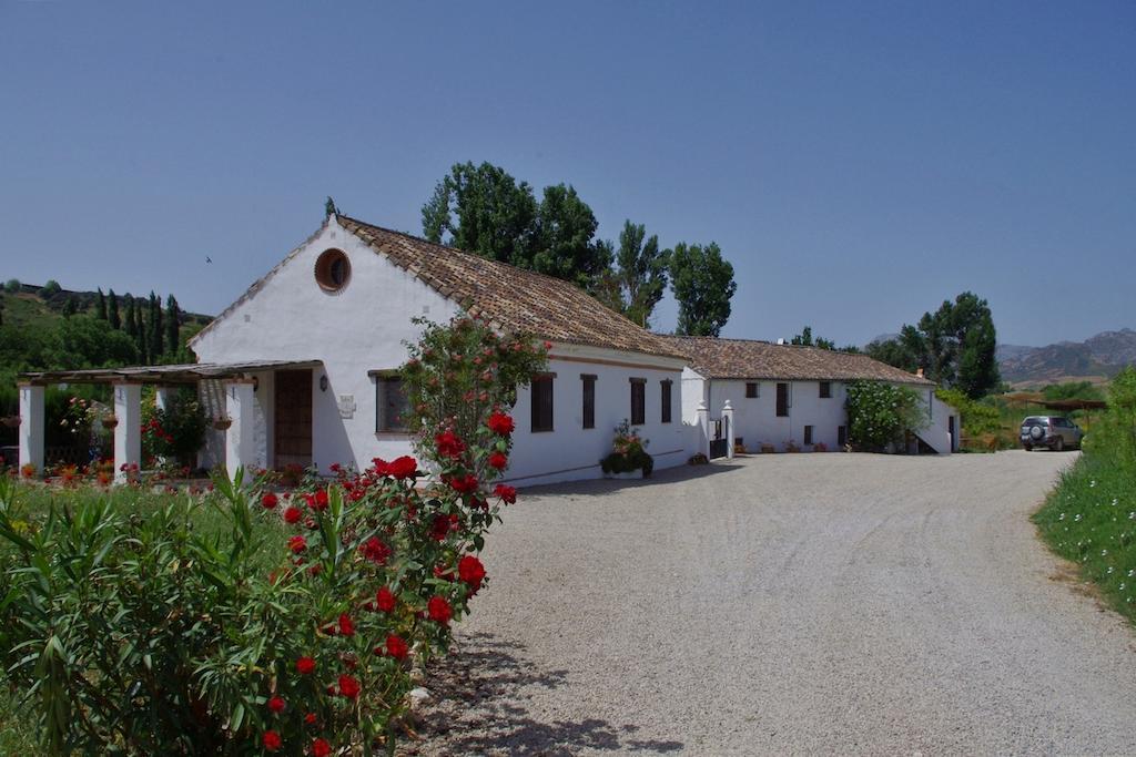 Retama * Ronda