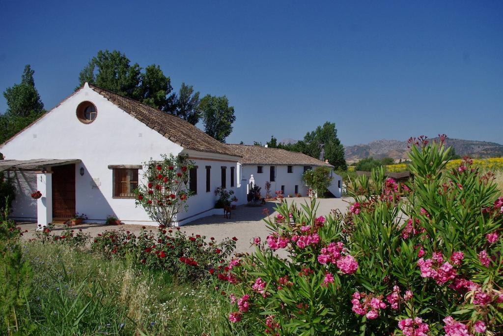 Retama Holiday home Ronda