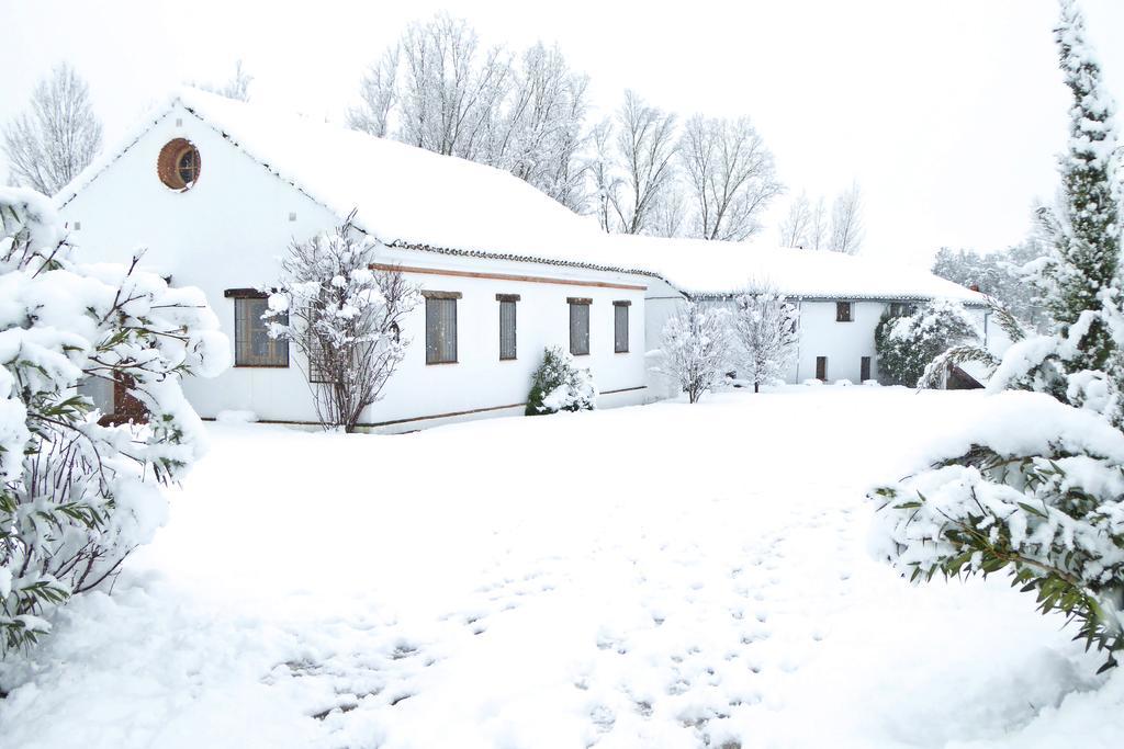 Holiday home Retama