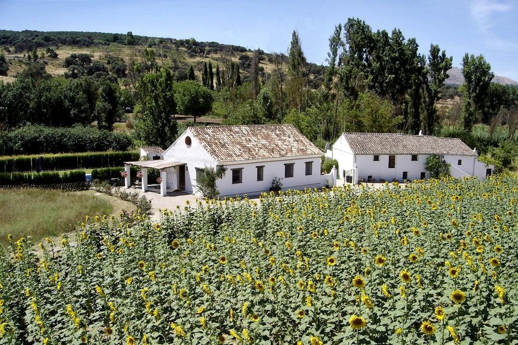 Ferienhaus Retama