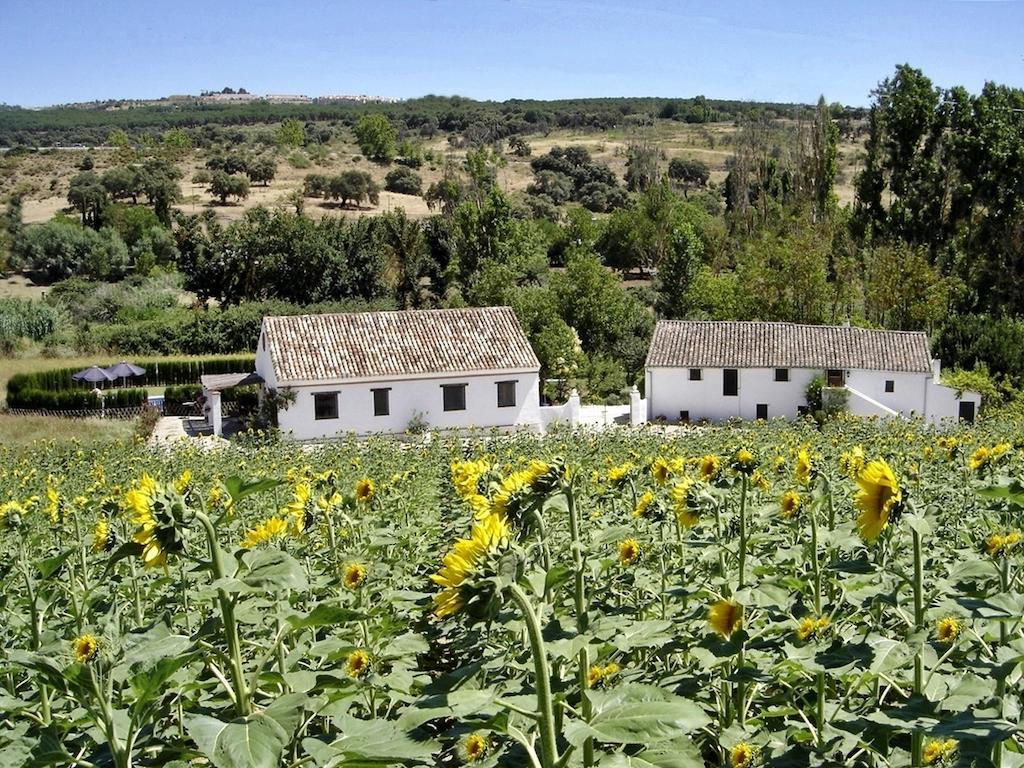 Ferienhaus Retama
